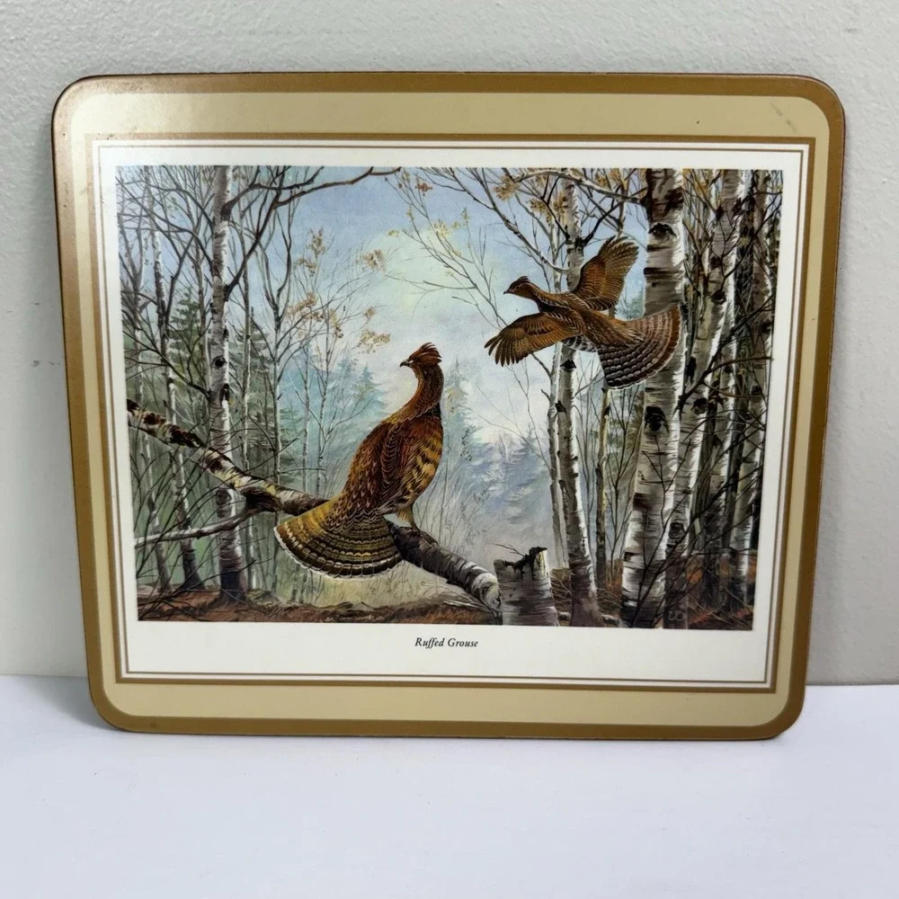 Game Bird Cork Placemats Set Of 4 Plastic Canada Goose Pheasant Grouse Snipe
